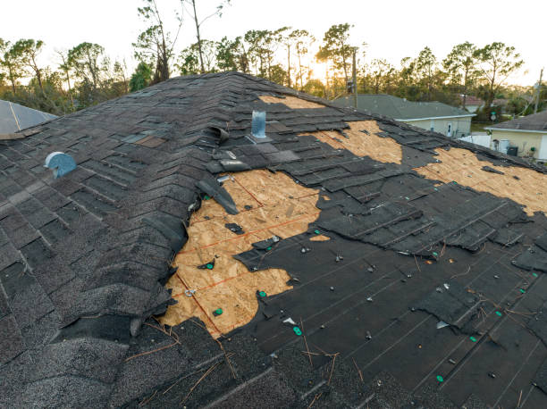 Best Slate Roofing  in USA